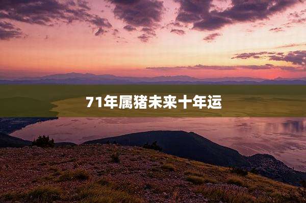 71年属猪未来十年运