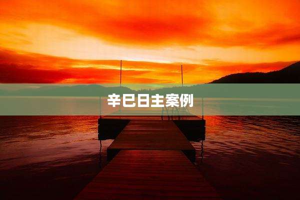 辛巳日主案例