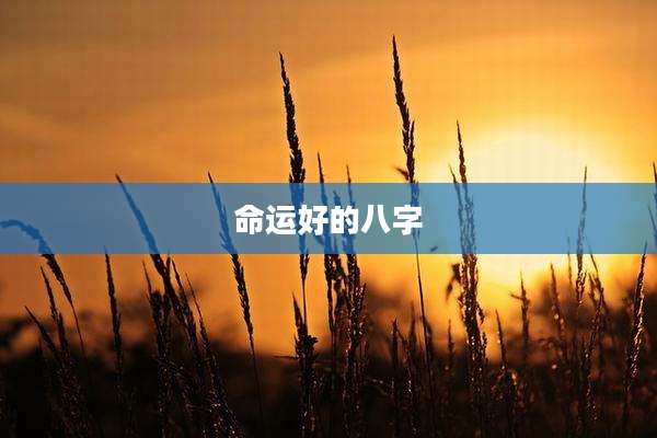 命运好的八字