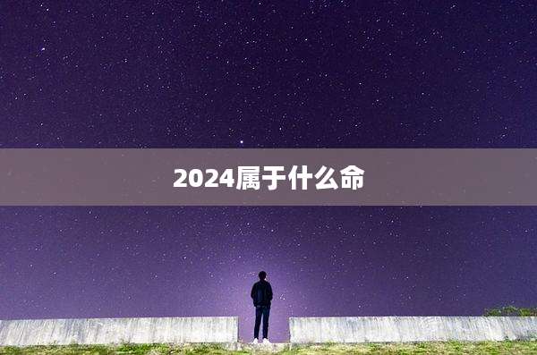 2024属于什么命
