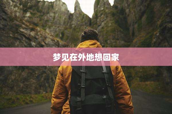 梦见在外地想回家
