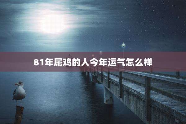 81年属鸡的人今年运气怎么样