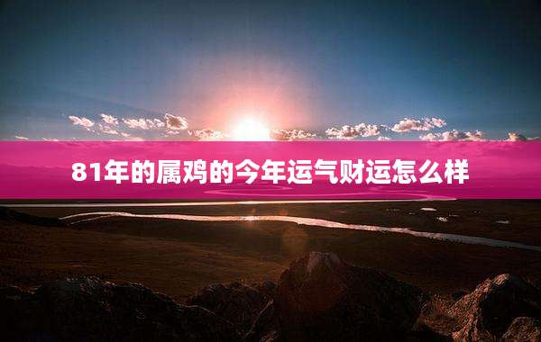 81年的属鸡的今年运气财运怎么样