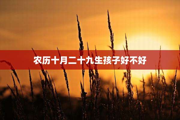 农历十月二十九生孩子好不好