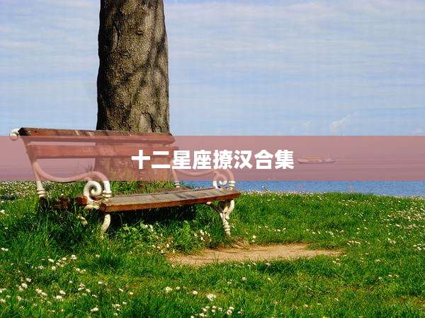 十二星座撩汉合集
