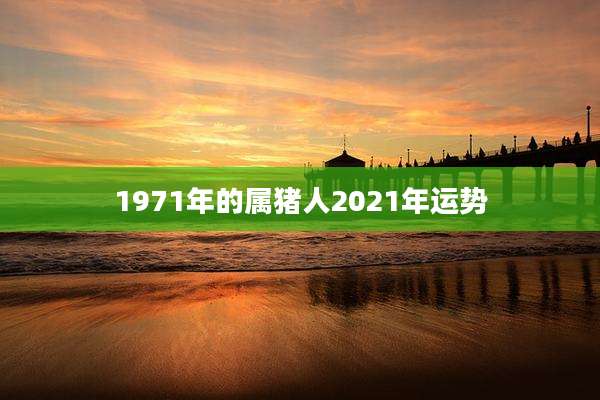 1971年的属猪人2021年运势