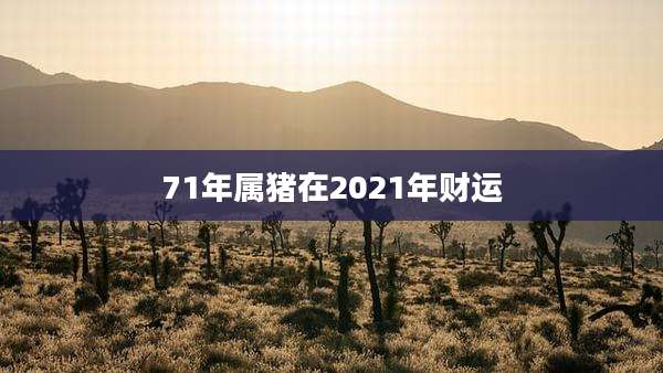71年属猪在2021年财运