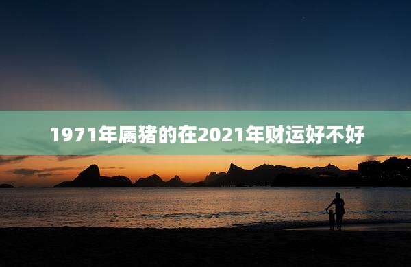 1971年属猪的在2021年财运好不好