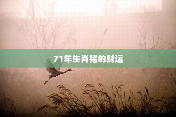 71年生肖猪的财运