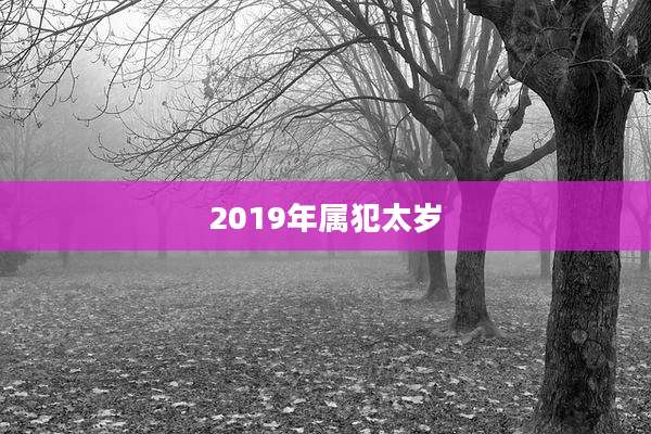 2019年属犯太岁