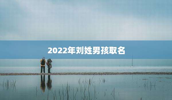 2022年刘姓男孩取名