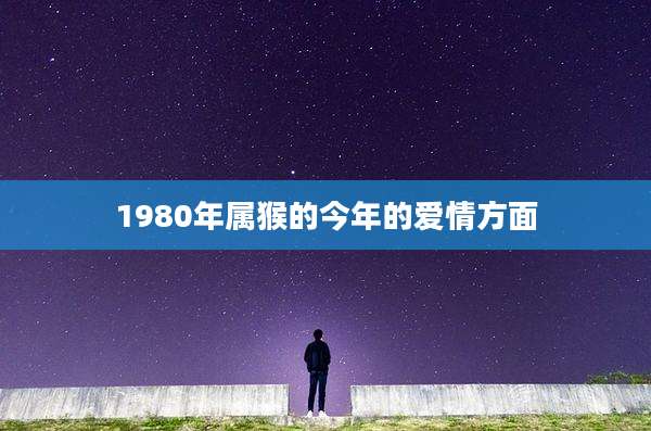 1980年属猴的今年的爱情方面