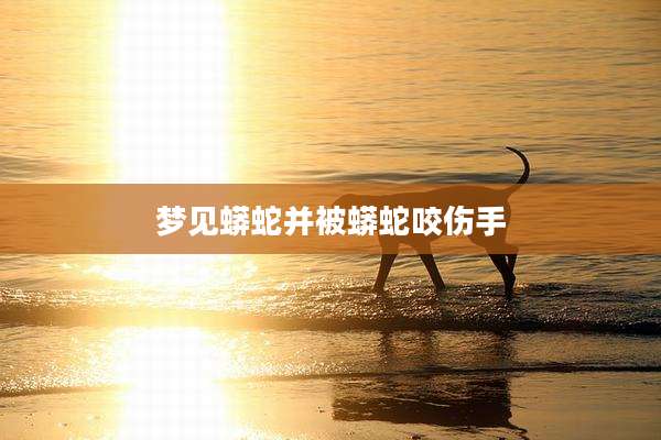 梦见蟒蛇并被蟒蛇咬伤手