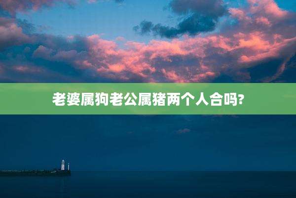 老婆属狗老公属猪两个人合吗?