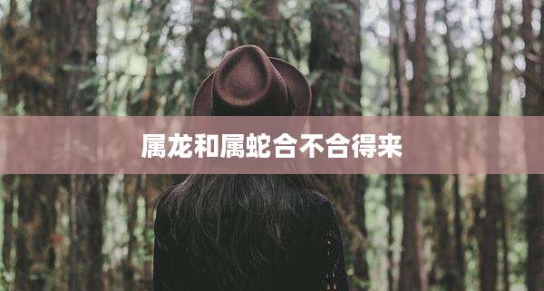 属龙和属蛇合不合得来