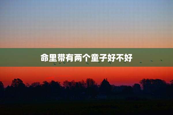 命里带有两个童子好不好