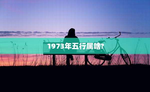 1973年五行属啥?