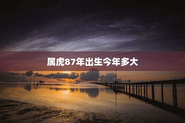 属虎87年出生今年多大