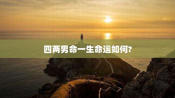 四两男命一生命运如何?