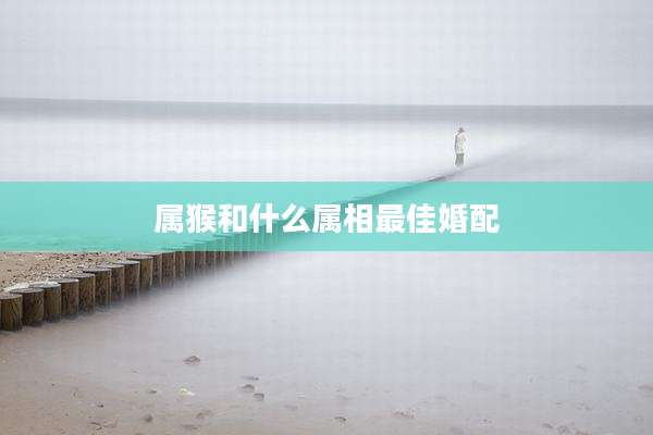 属猴和什么属相最佳婚配