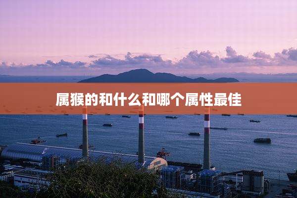 属猴的和什么和哪个属性最佳