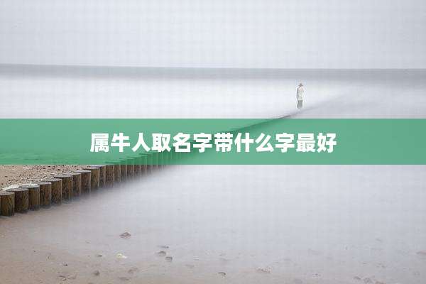 属牛人取名字带什么字最好