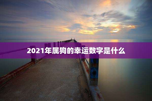 2021年属狗的幸运数字是什么