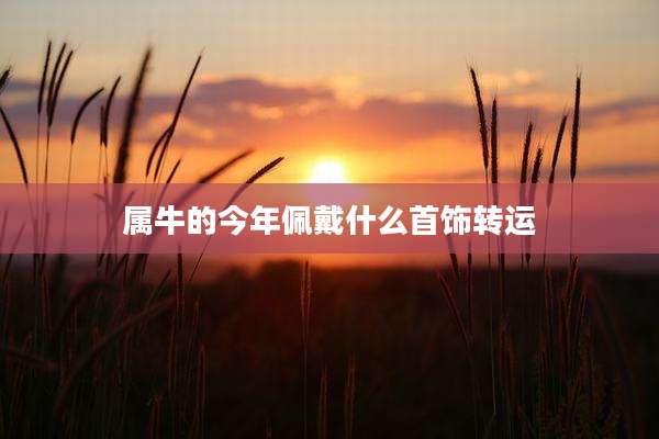 属牛的今年佩戴什么首饰转运