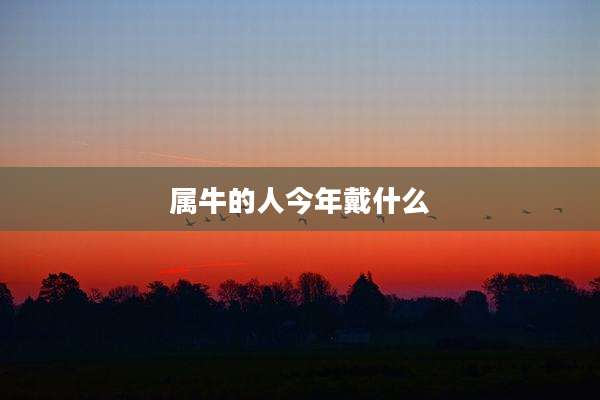 属牛的人今年戴什么