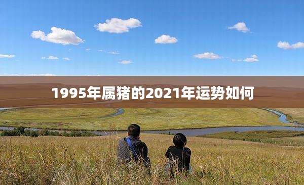 1995年属猪的2021年运势如何