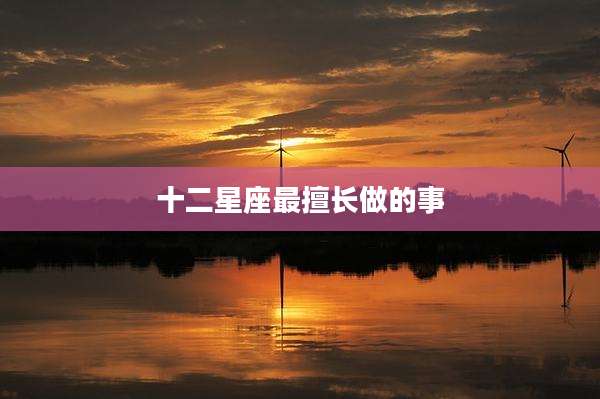 十二星座最擅长做的事
