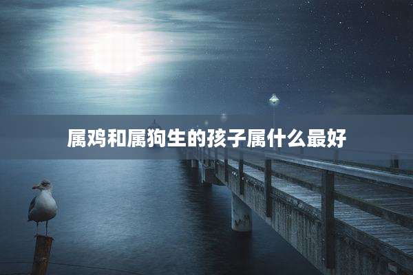 属鸡和属狗生的孩子属什么最好
