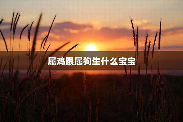 属鸡跟属狗生什么宝宝