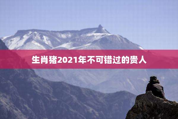 生肖猪2021年不可错过的贵人