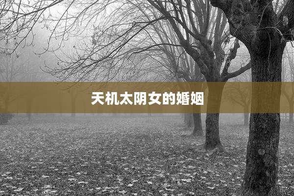 天机太阴女的婚姻