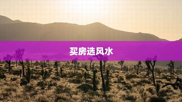 买房选风水