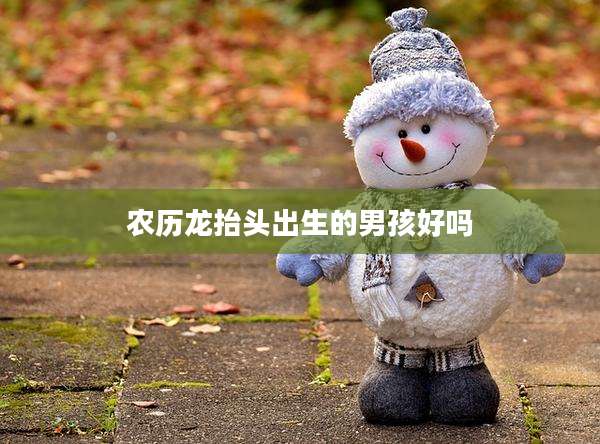 农历龙抬头出生的男孩好吗