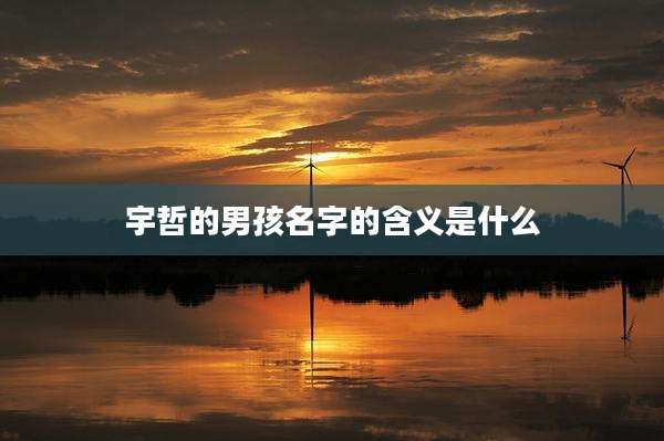 宇哲的男孩名字的含义是什么