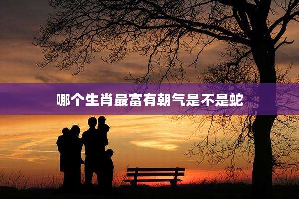 哪个生肖最富有朝气是不是蛇
