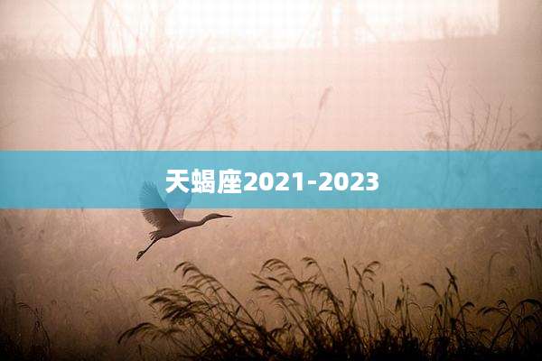 天蝎座2021-2023