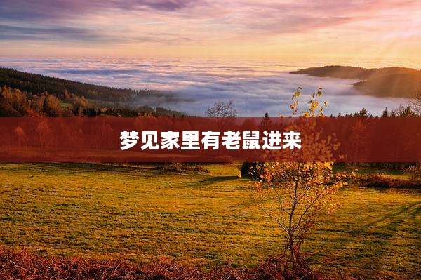 梦见家里有老鼠进来