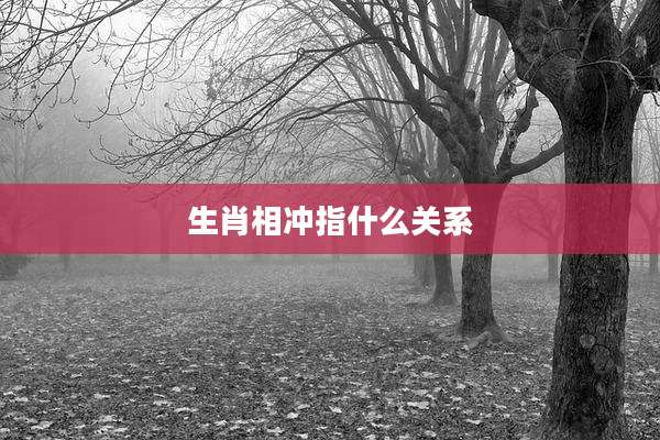 生肖相冲指什么关系