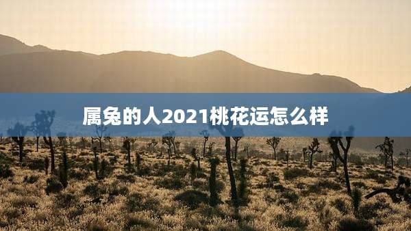属兔的人2021桃花运怎么样