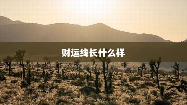财运线长什么样