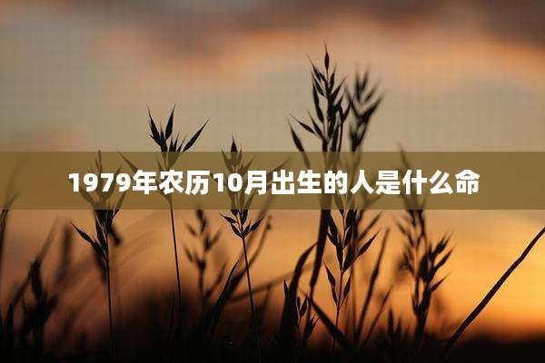 1979年农历10月出生的人是什么命