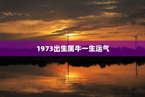 1973出生属牛一生运气