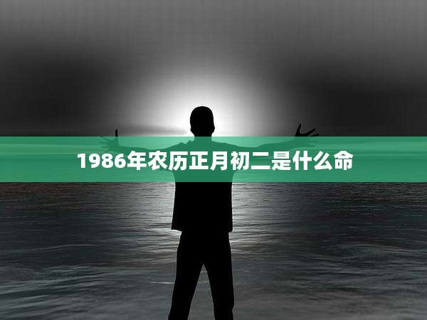 1986年农历正月初二是什么命