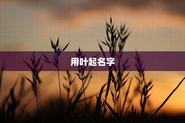 用叶起名字