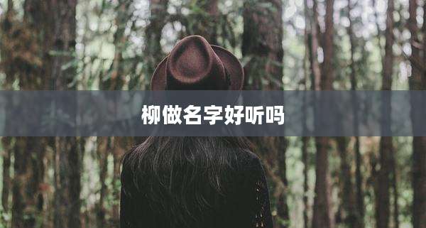 柳做名字好听吗