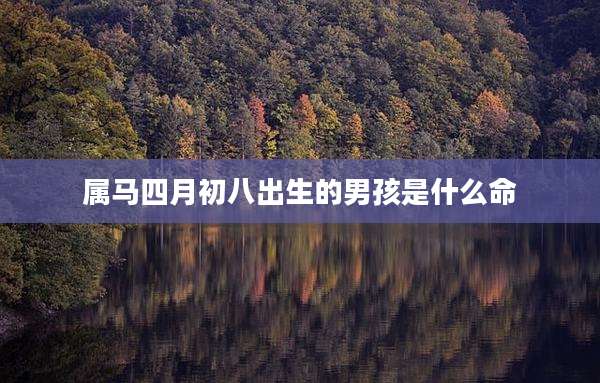 属马四月初八出生的男孩是什么命